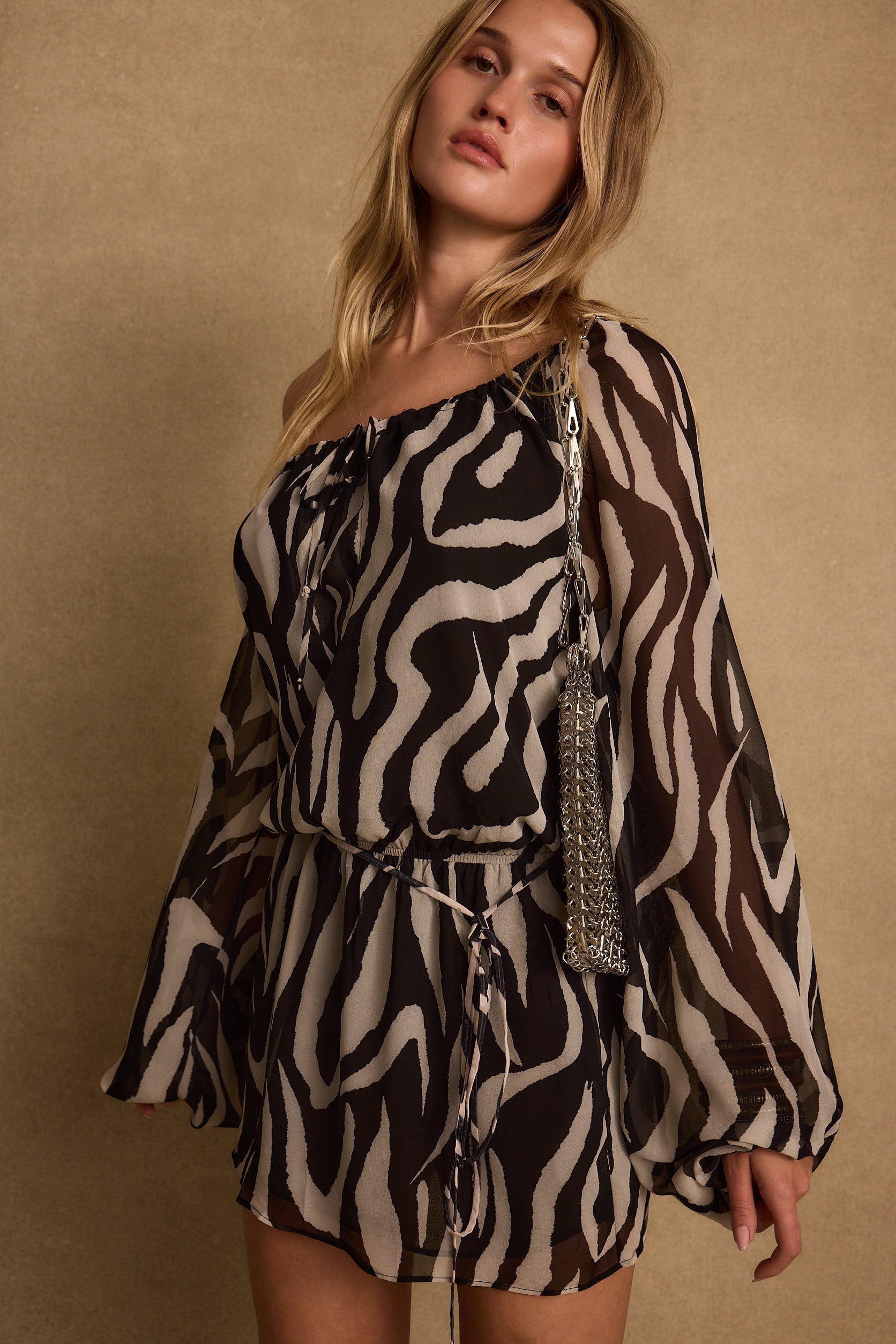 Gina Zebra Mini Dress